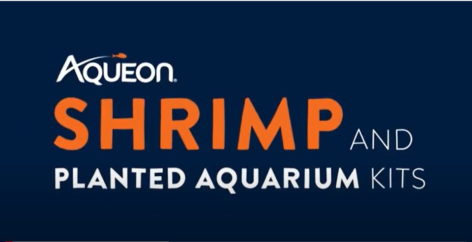 Aqueon Nano Shrimp Kits