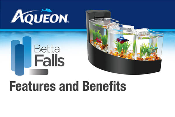 Aqueon Betta Falls Features and Benefits