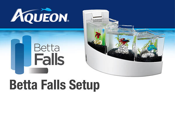 Aqueon Betta Falls Setup