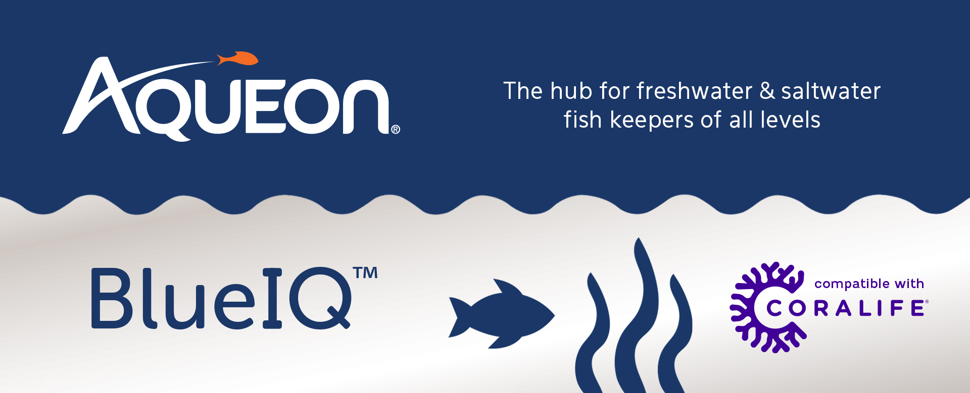 Aqueion BlueIQ Top Banner