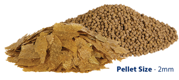 AQ Nutrinsect Banner 5Varieties Pellets Center