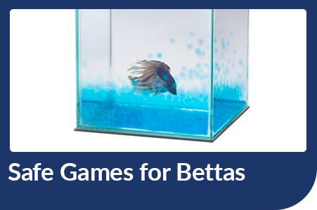 Aqueon Safe Games for Bettas Blog Post