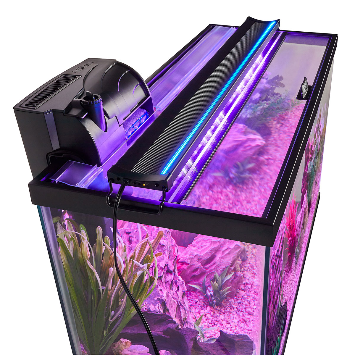 Things to Consider When Buying Aquarium Lights