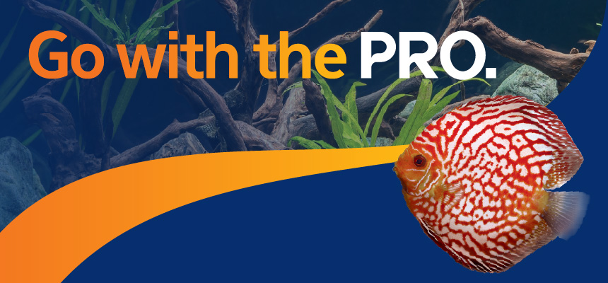 Go with the PRO website banner_mobile