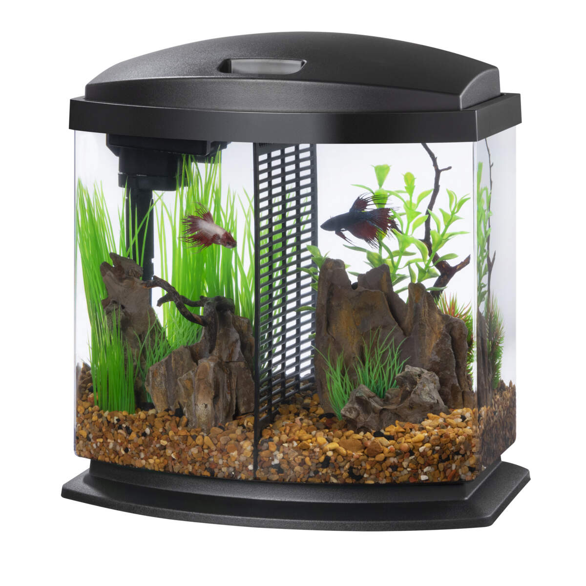 Aqueon® 25 Gallon Aquarium & Stand, Aquariums, PetSmart