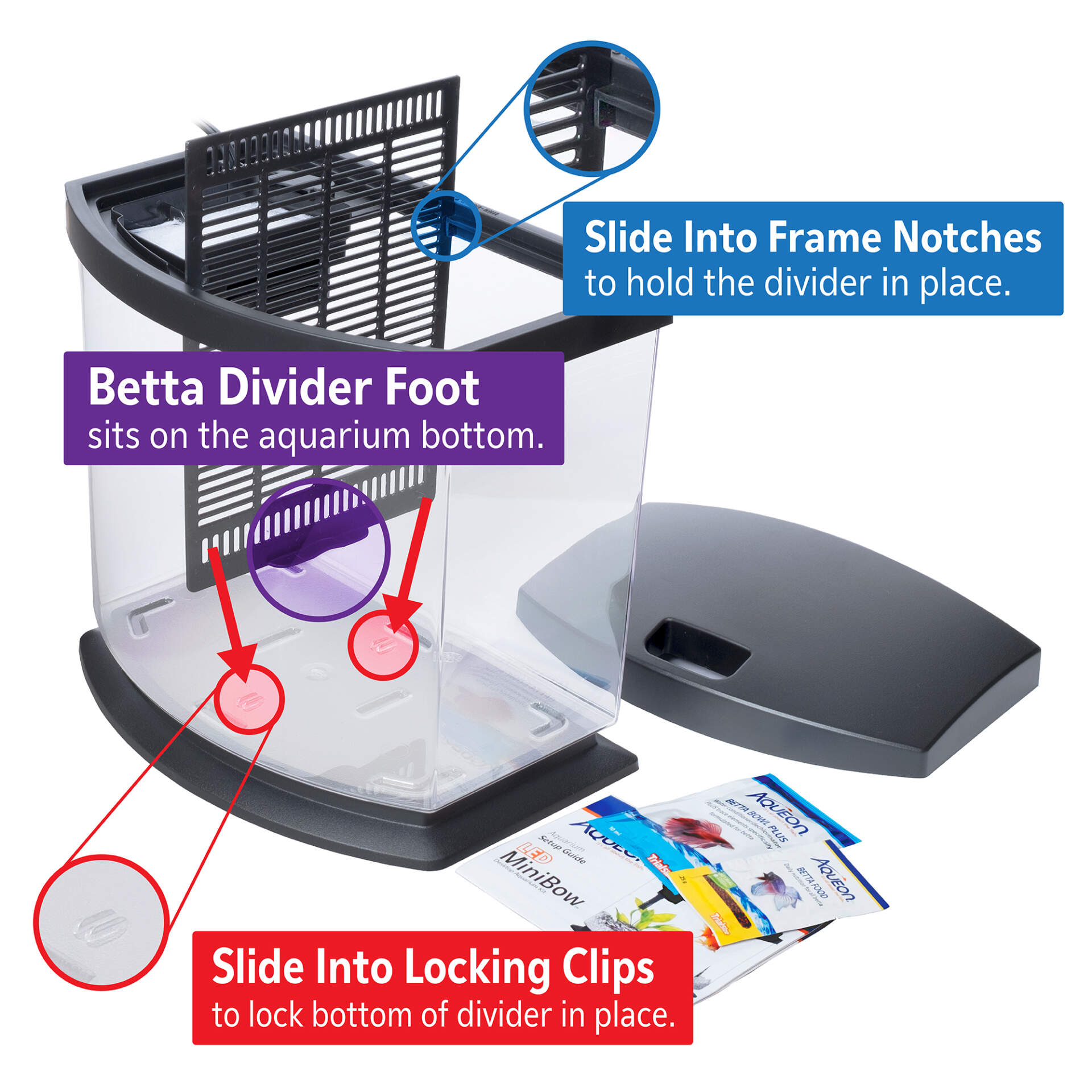 Betta_Divider_Placement