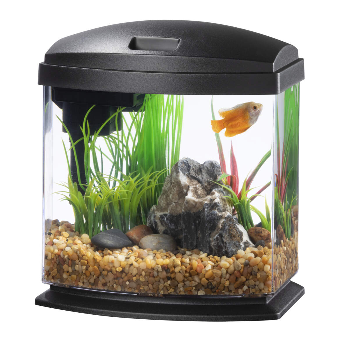 Aqueon 1.6 gallon hot sale led mini cube